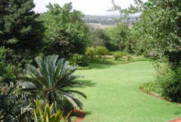 Pretoria Botanical Gardens
