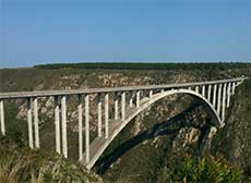 Bunji jumping off the Bloukrans Bridge