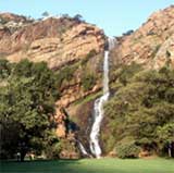 Walter Sisulu Botanical Gardens