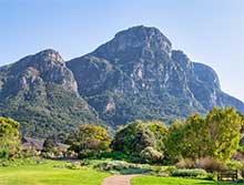 Kirstenbosch Botanical Gardens