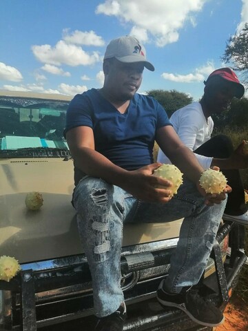 Bonnie12, 39 Mafikeng, North West, South Africa