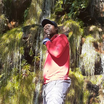 lesco2, 43 Cape Town, Western Cape, South Africa
