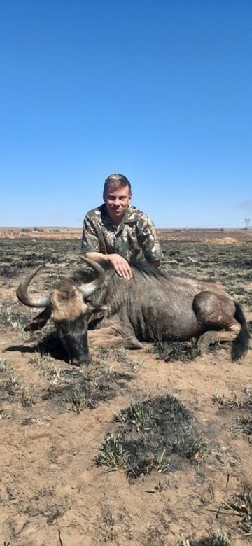 Grootbul, 24 Witbank, Mpumalanga, South Africa