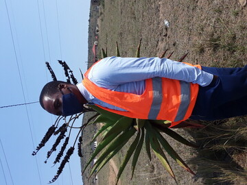 Mpiloza, 34 Ulundi, KwaZulu-Natal, South Africa