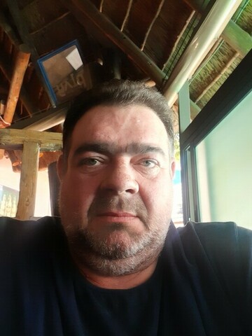 Blou bull, 50 Rustenburg, North West, South Africa