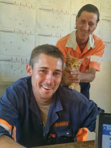 Gerhard159, 42 Rustenburg, North West, South Africa