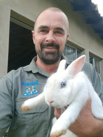 Paulgeert, 45 Pretoria, Gauteng, South Africa