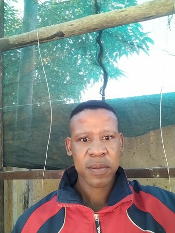 Jackson's, 40 Musina, Limpopo, South Africa