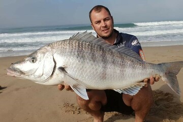 DMCa, 41 Virginia, Free State, South Africa