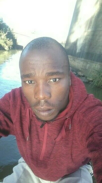 Blacc bear, 28 Nigel, Gauteng, South Africa
