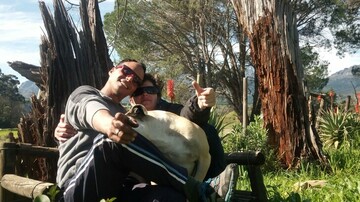 leecam, 40 Paarl, Western Cape, South Africa