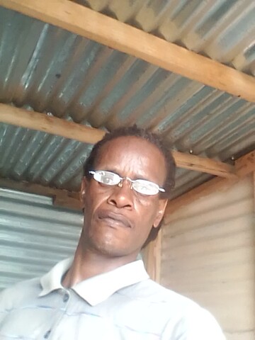 stier, 50 Roodepoort, Gauteng, South Africa