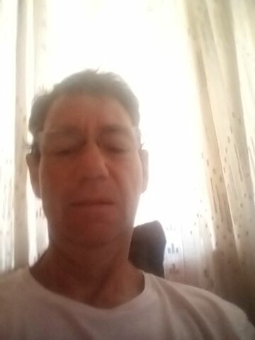 Wolf, 44 Barkly West, Northern Cape, South Africa