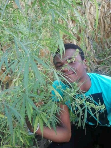 jubie, 35 Polokwane, Limpopo, South Africa