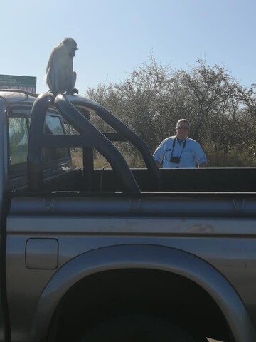 Donald, 64 Boksburg, Gauteng, South Africa
