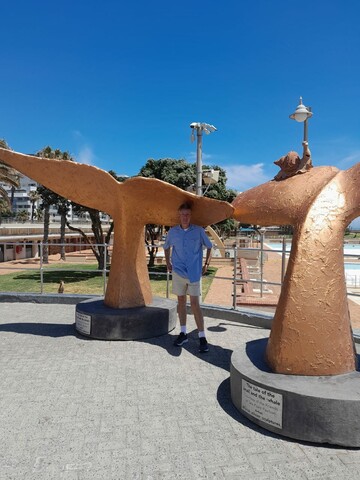 mike, 51 Cape Town, Western Cape, South Africa