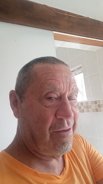 bronzbream, 72 Glenmore, KwaZulu-Natal, South Africa