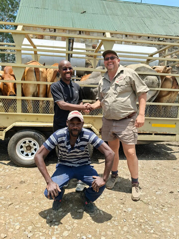 Josec, 35 Polokwane, Limpopo, South Africa