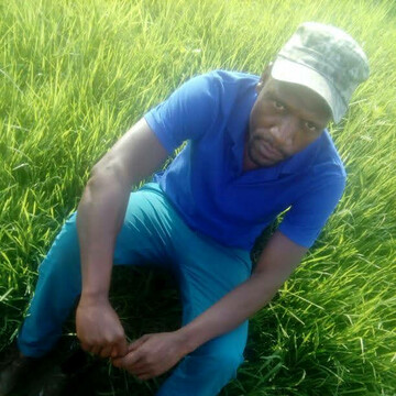 Knoxman3, 41 Randburg, Gauteng, South Africa