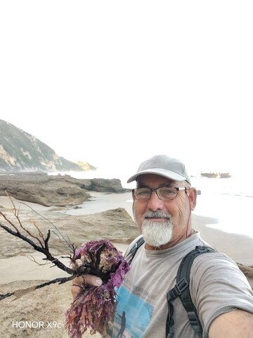 Rgberg, 61 George, Western Cape, South Africa