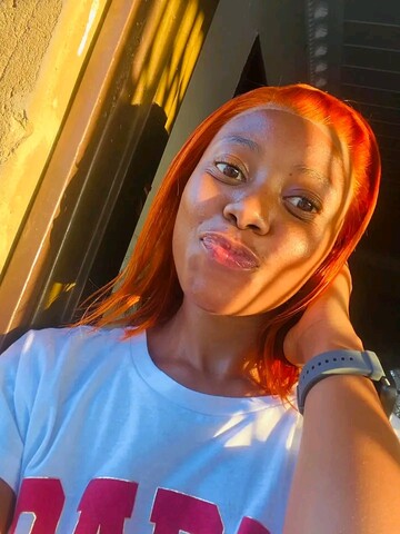 brown bear, 27 Johannesburg South, Gauteng, South Africa