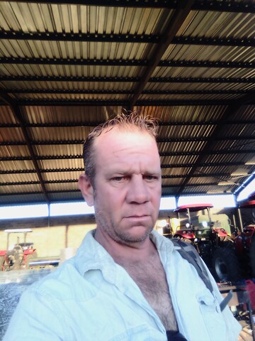 Gypsey, 41 Klerksdorp, North West, South Africa