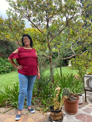 Driekie, 53 Somerset West, Western Cape, South Africa