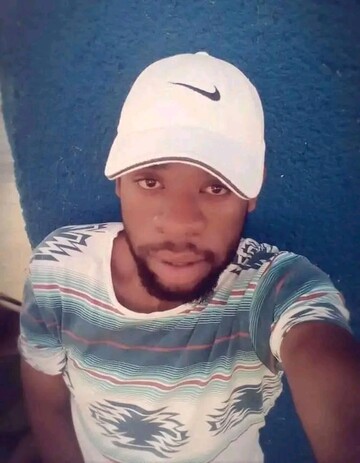 Filoe montana, 28 Burgersfort, Limpopo, South Africa