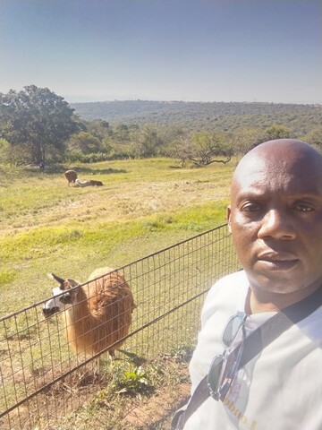 Sneaker, 41 Kathu, Northern Cape, South Africa