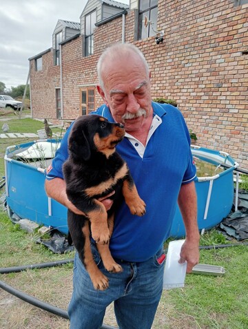 Louis, 64 Kleinmond, Western Cape, South Africa