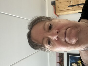 Goose, 66 Boksburg, Gauteng, South Africa