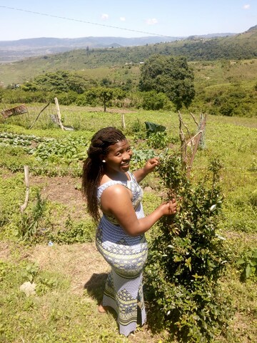 Oloo, 35 Benoni, Gauteng, South Africa