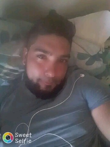 Giempie186, 39 Cape Town, Western Cape, South Africa