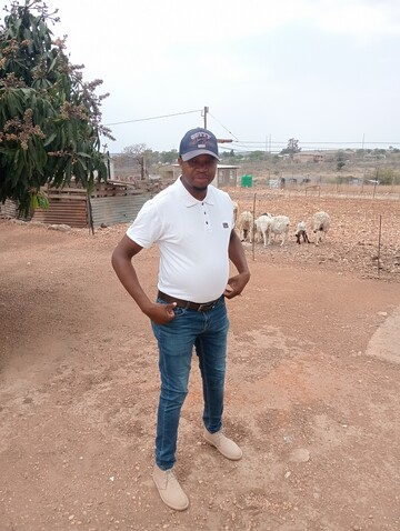 Jack264, 41 Polokwane, Limpopo, South Africa