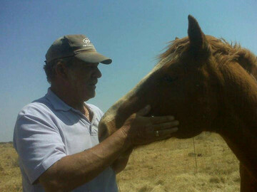 Gaust, 69 Krugersdorp, Gauteng, South Africa