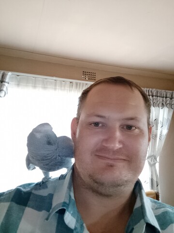 Sakkie, 40 Springs, Gauteng, South Africa