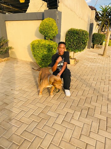 Kefifi, 19 Mamelodi, Gauteng, South Africa