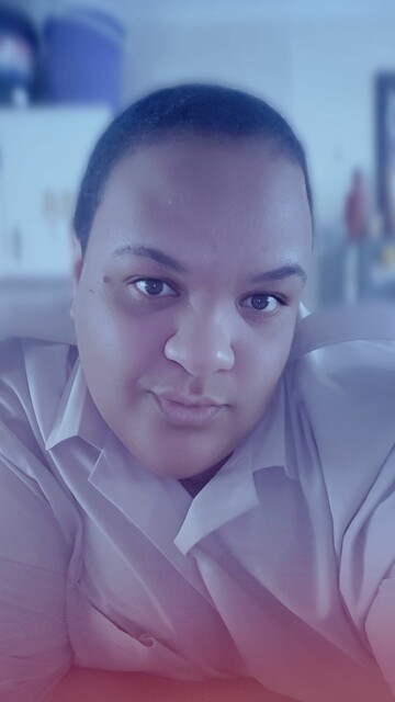 Honeybee, 38 Pietermaritzburg, KwaZulu-Natal, South Africa