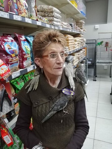 Glendie, 74 East London, Eastern Cape, South Africa