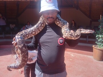 Mayfairguy, 31 Johannesburg, Gauteng, South Africa