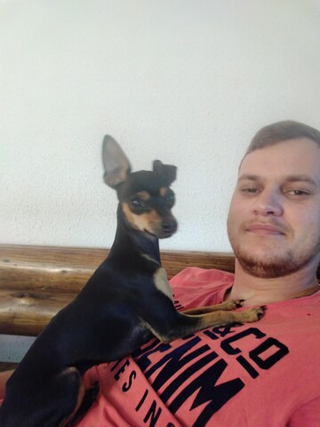 Draco, 30 Rustenburg, North West, South Africa