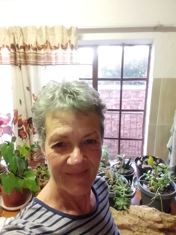 Mickey, 62 Belfast, Mpumalanga, South Africa