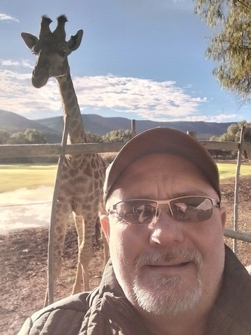 shy one, 51 Oudtshoorn, Western Cape, South Africa