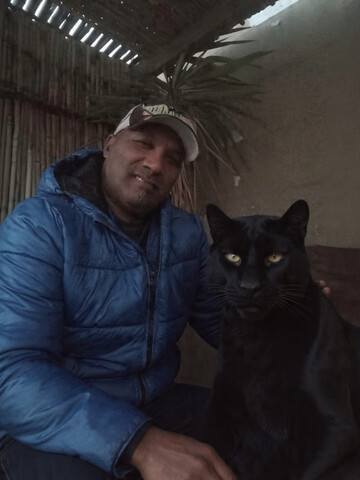 Tarzan219, 55 Cape Town, Western Cape, South Africa