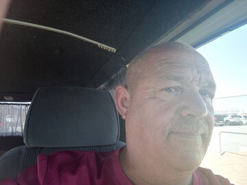 Bovin, 56 Port Elizabeth, Eastern Cape, South Africa