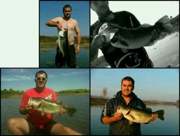 shorty1234, 41 Pretoria, Gauteng, South Africa