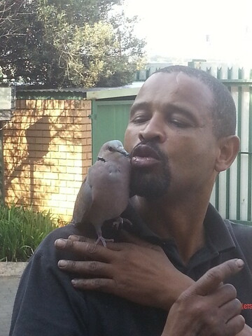 Mos7, 53 Pretoria, Gauteng, South Africa