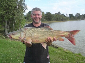 peter106, 60 Kempton Park, Gauteng, South Africa