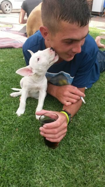 mystic boer, 32 Orkney, North West, South Africa