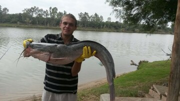 wouttie, 34 Bloemfontein, Free State, South Africa